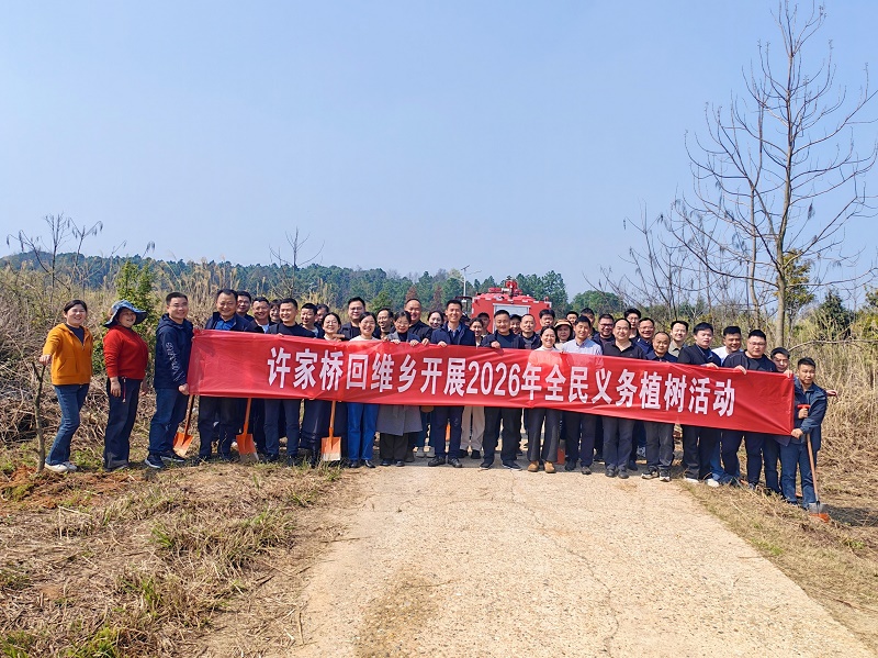 许家桥回维乡：以绿为笔绘就乡村振兴新画卷