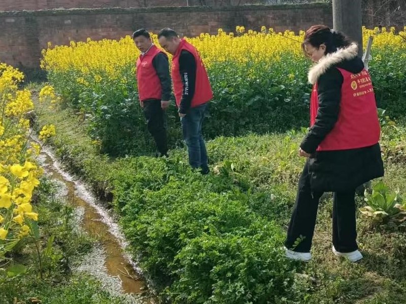 许家桥回维乡：开展禁种铲毒行动