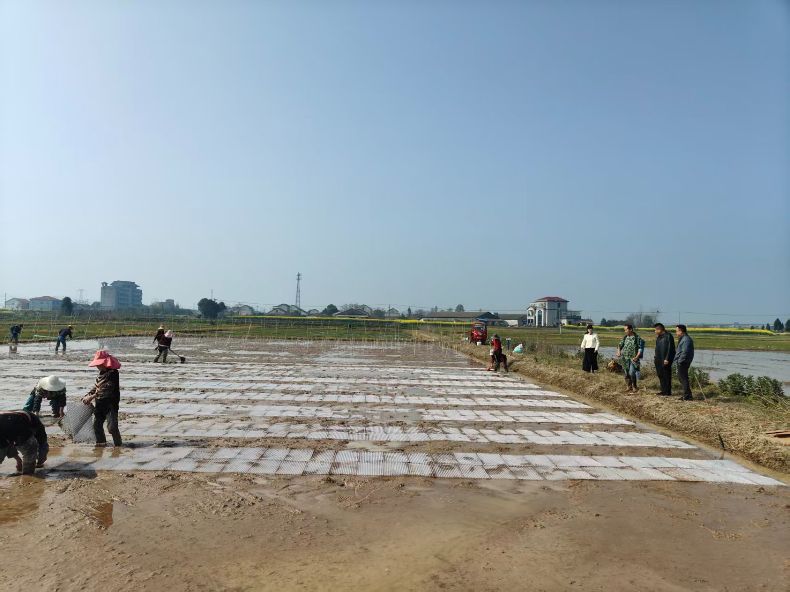 牛鼻滩镇：抢抓农时忙春耕 多措并举稳粮仓