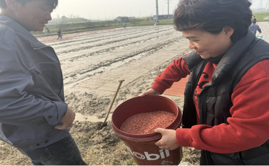 郭家铺街道：春耕备耕忙 不负好时光