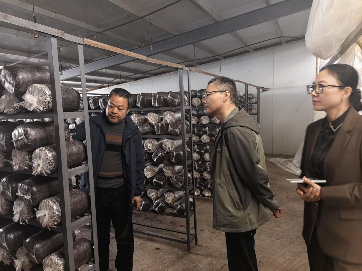 鼎城区2026年农村残疾人“阳光增收计划” 培训班开班