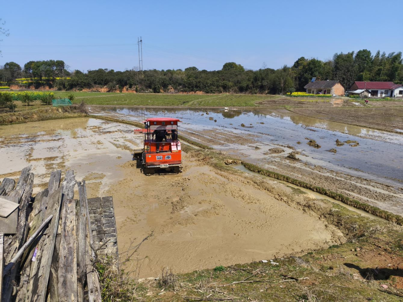 许家桥回维乡：抢抓农时助春耕 实干笃行促丰收