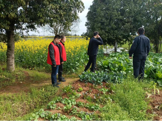 草坪镇：春季禁种铲毒正当时  深入田间地头除隐患