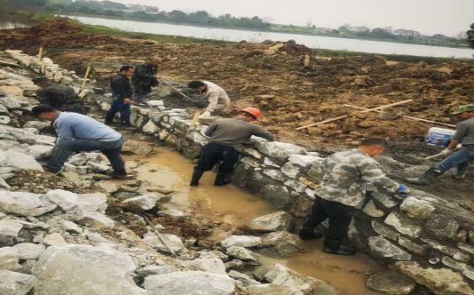 周家店镇：修整沟渠振水利 改善民生促生产