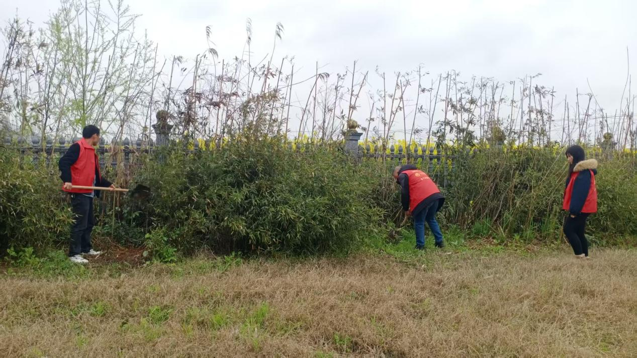 蒿子港镇：全面踏查除隐患 源头治理保净土