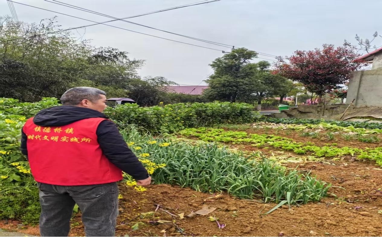 镇德桥镇：开展禁种铲毒“零种植”守护净土不停歇活动