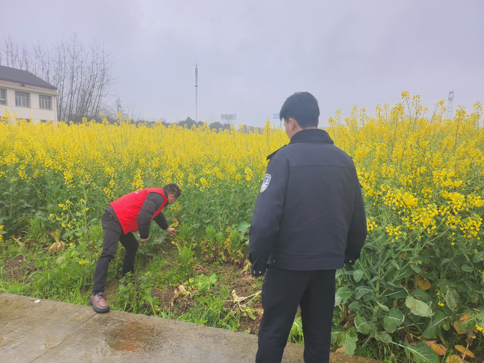郭家铺街道扎实推进禁种铲毒工作
