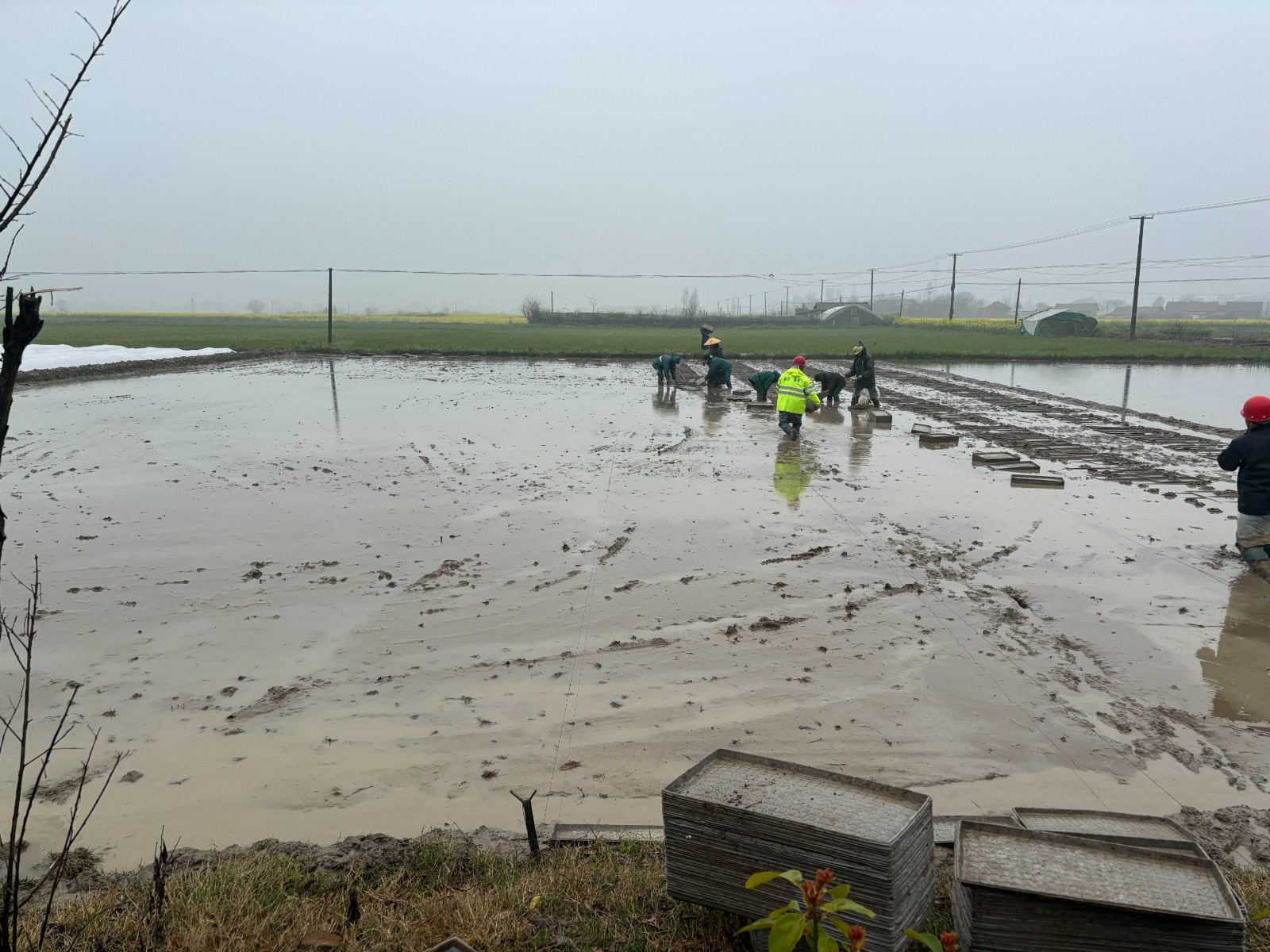 人勤春早备耕忙 稳粮增收启新程——韩公渡镇全力推进春耕备耕工作