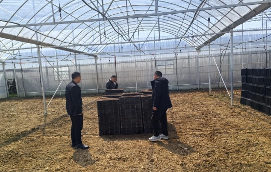 周家店镇：不误农时抓春耕 多措并举保丰收