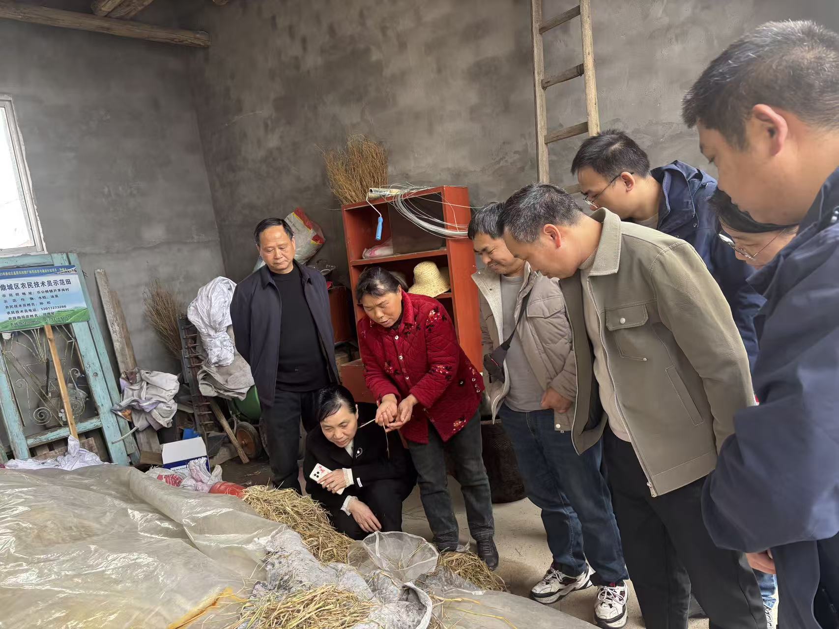 石公桥镇：专家进田头 知识助春耕