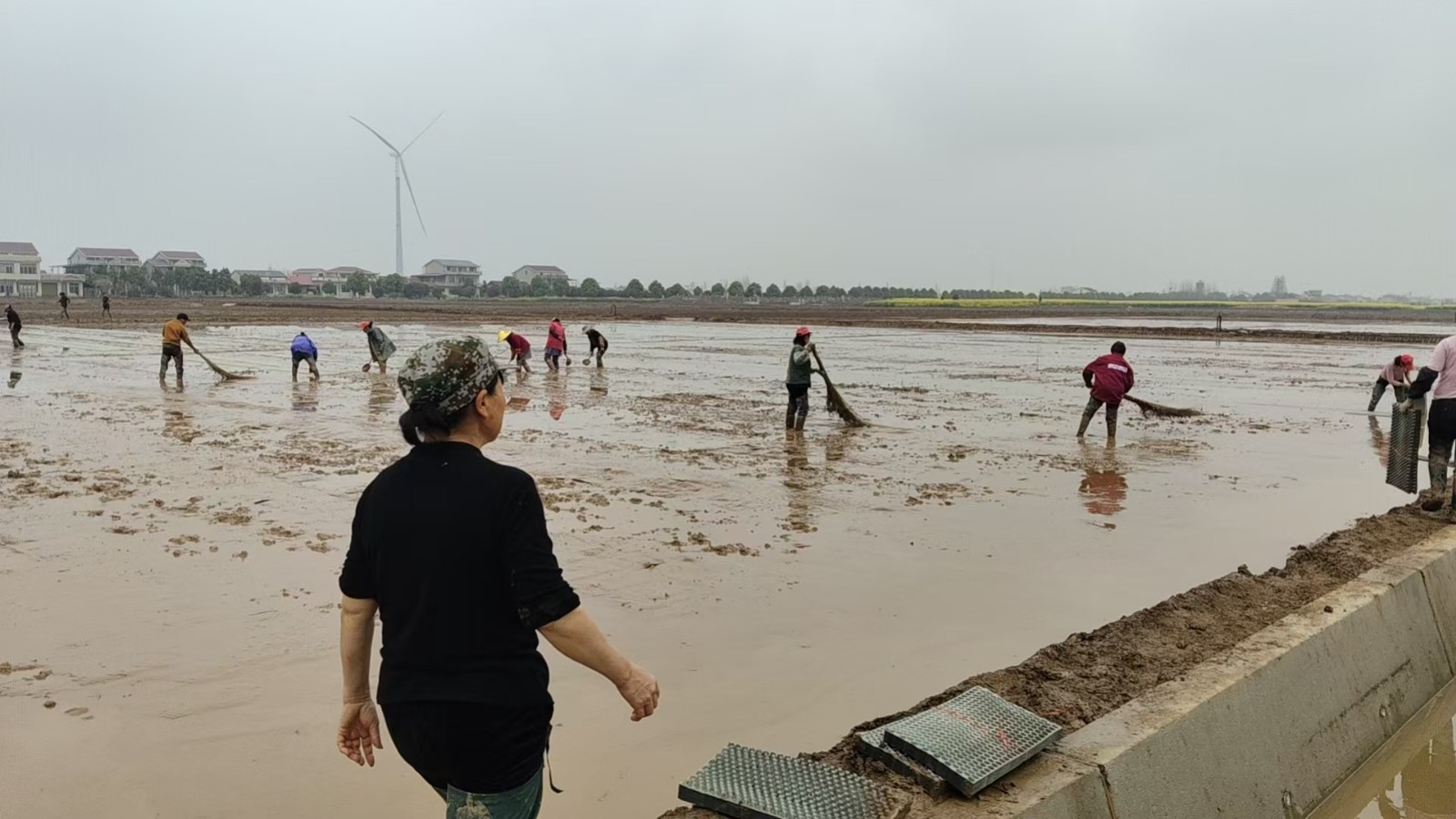 中河口镇：春耕“加速跑” 种出好“丰”景