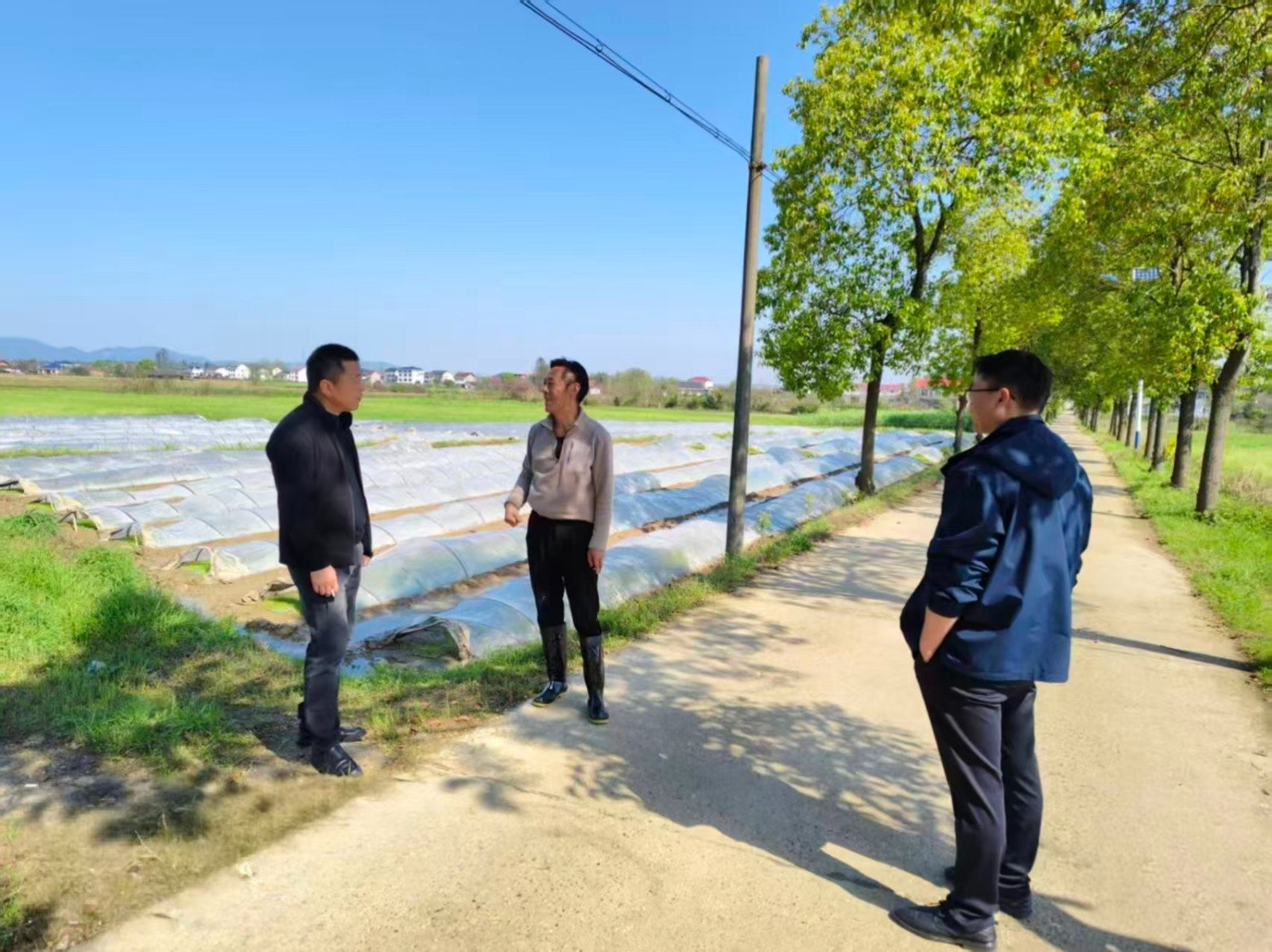 镇德桥镇：抢抓晴好天气 护航春耕生产