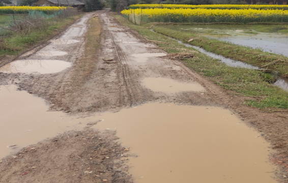 周家店镇：抢修机耕路 护航保民生