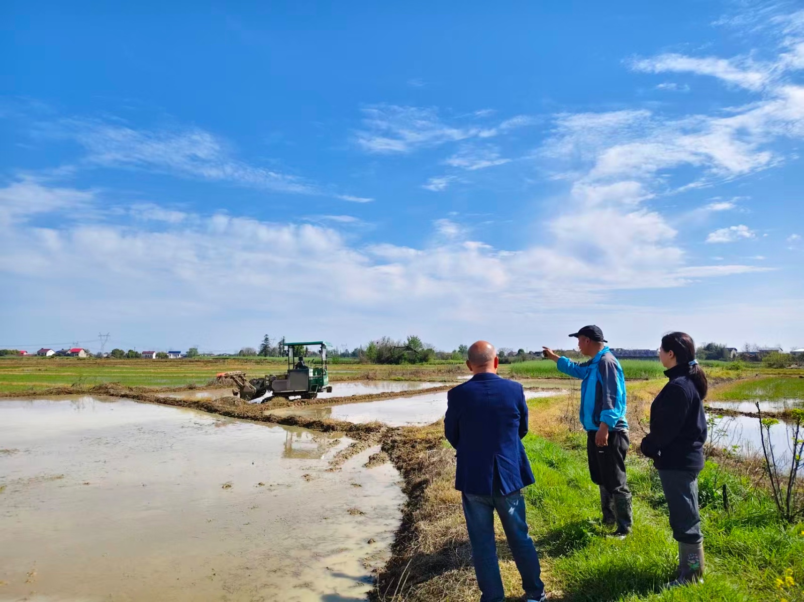 镇德桥镇：农技人员靠前服务 护航农业生产“第一关”