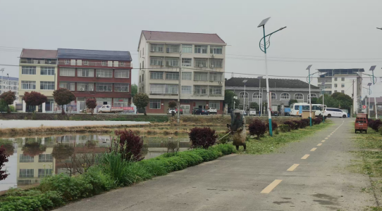 周家店镇：清理路障杂草 志愿红擦亮环境“颜值”