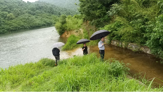 双桥坪镇：汛期一线督导 筑牢安全防线