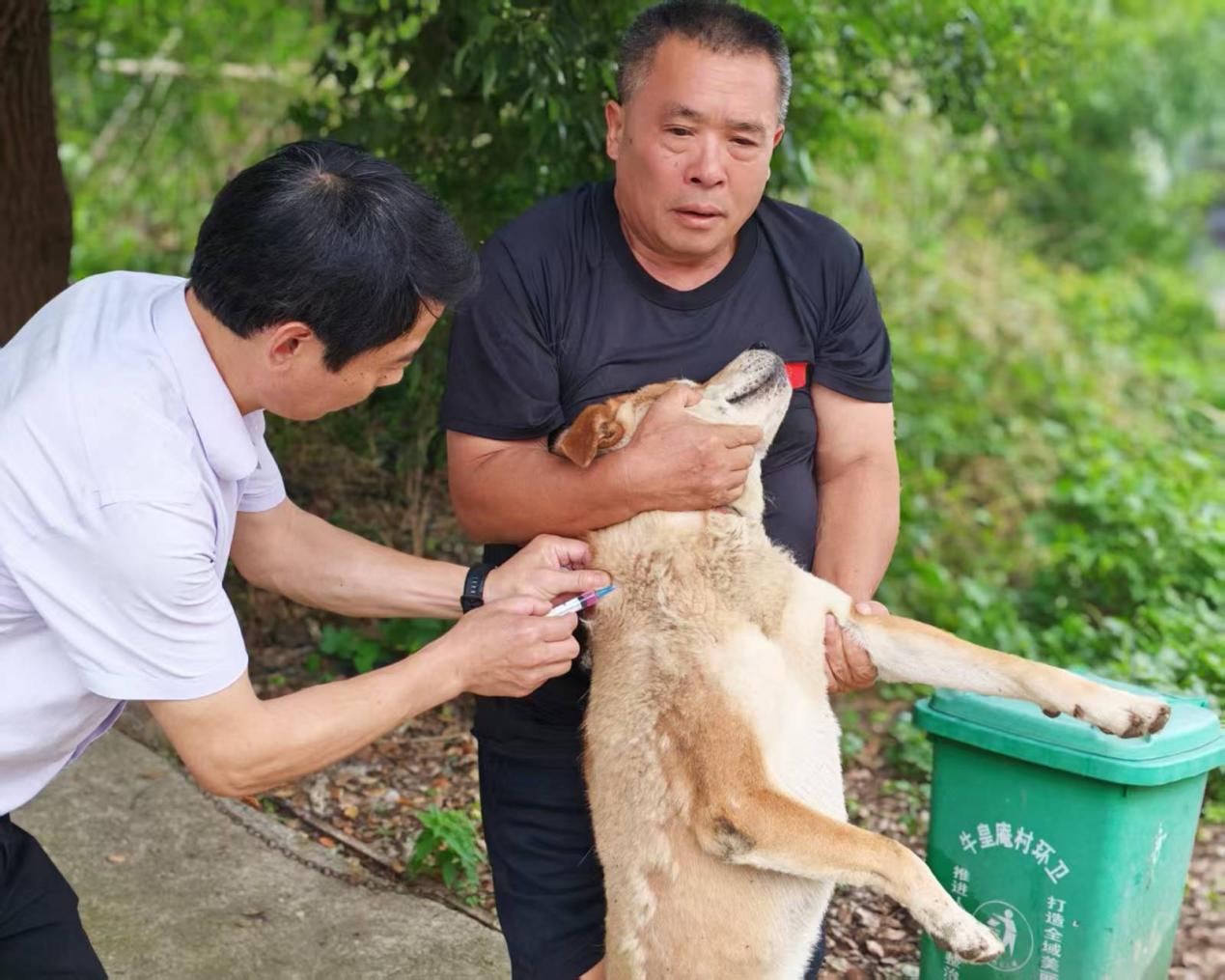 韩公渡镇：服务群众零距离 狂犬防控护万家