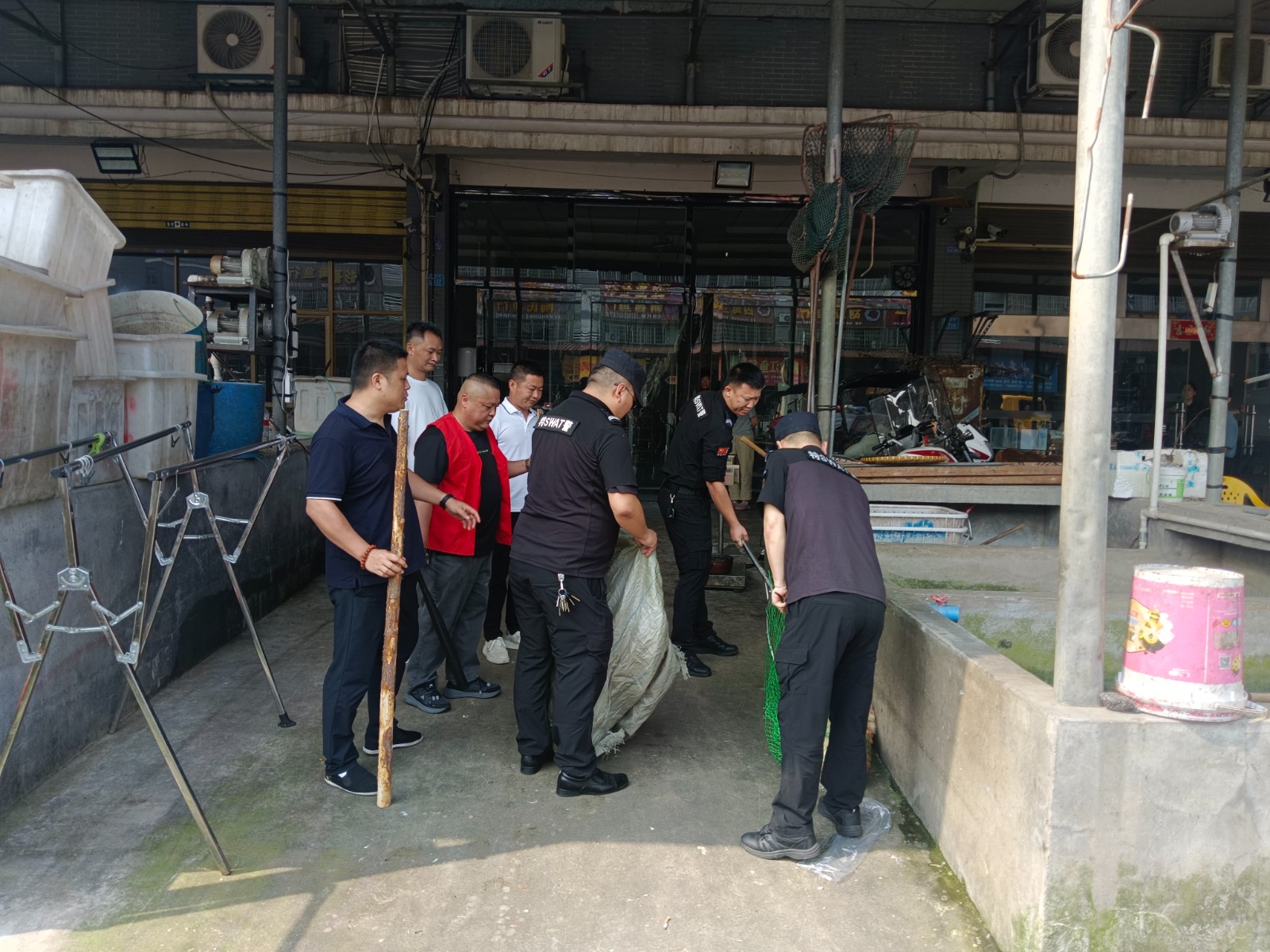 消除流浪犬扰民伤人隐患！郭家铺街道在行动