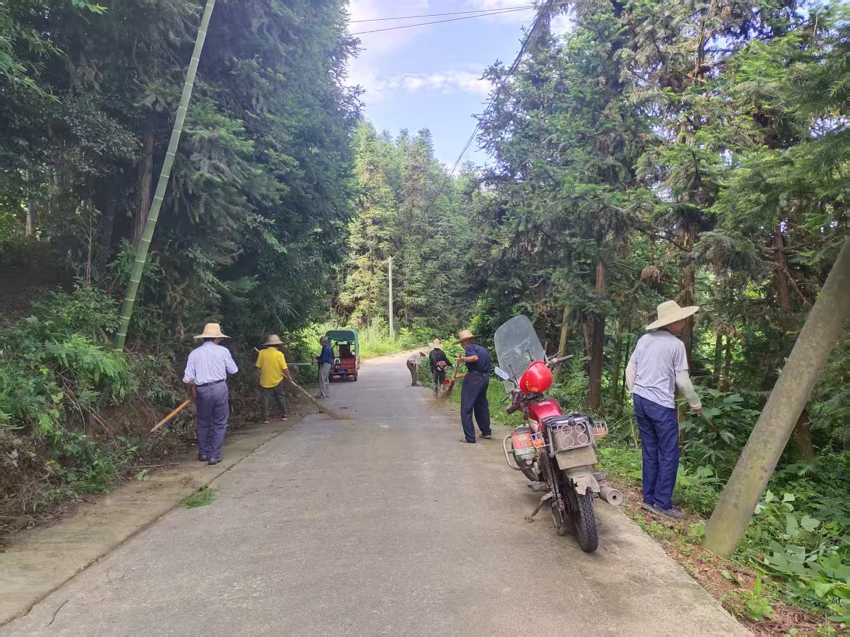 尧天坪镇：挥镰除草展新颜 路畅景美护平安