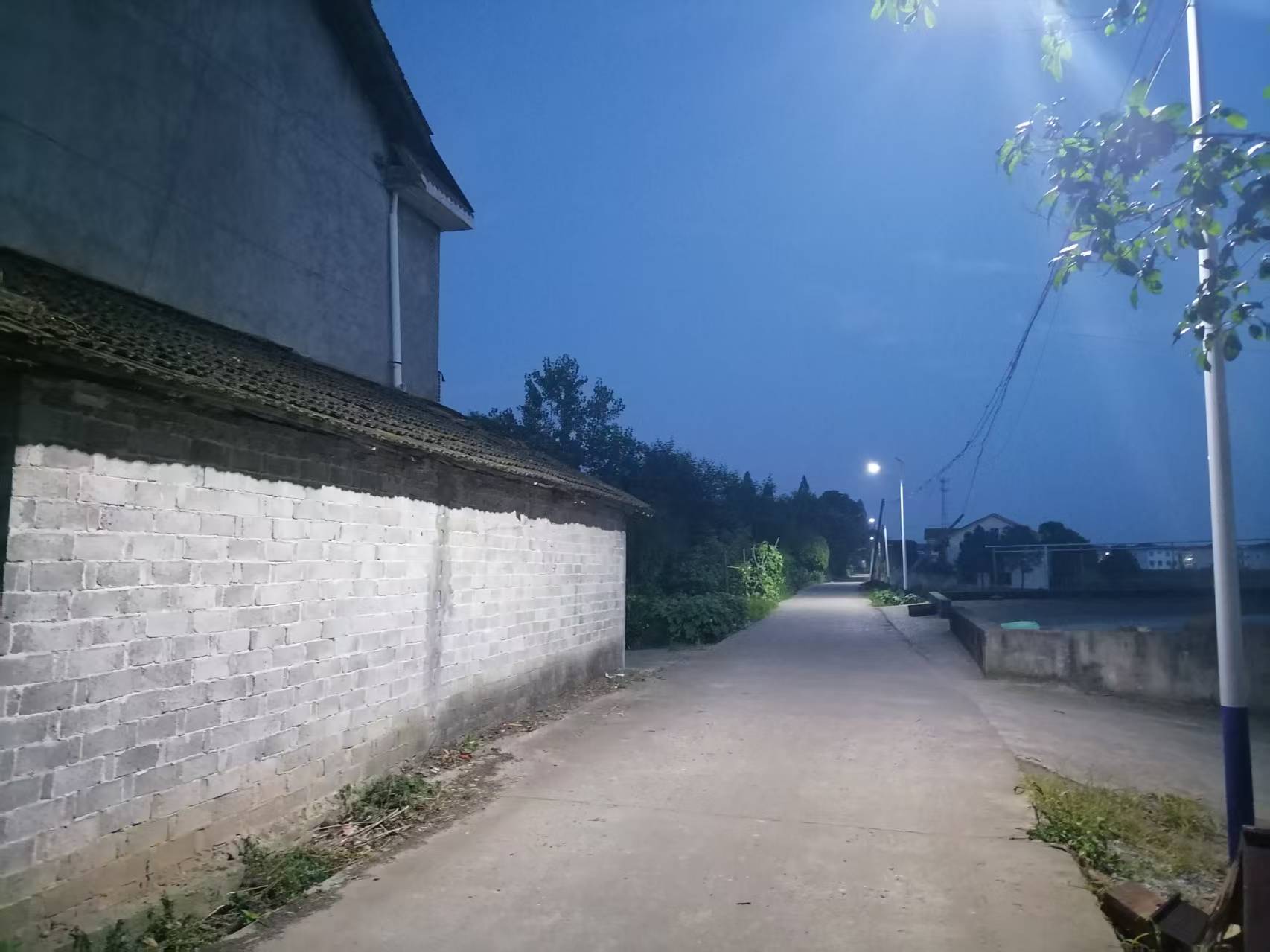 牛鼻滩镇：党建引领聚乡贤统战合力 同心共建点亮暖心路