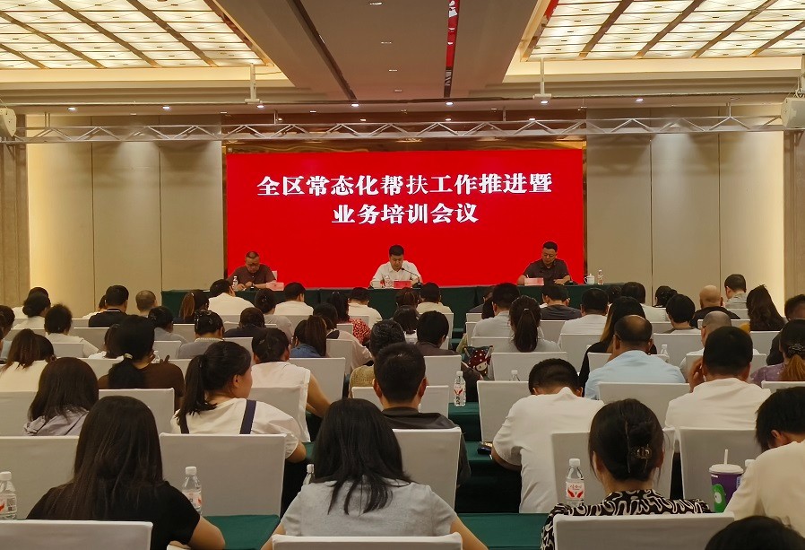 鼎城区召开常态化帮扶工作推进暨业务培训会