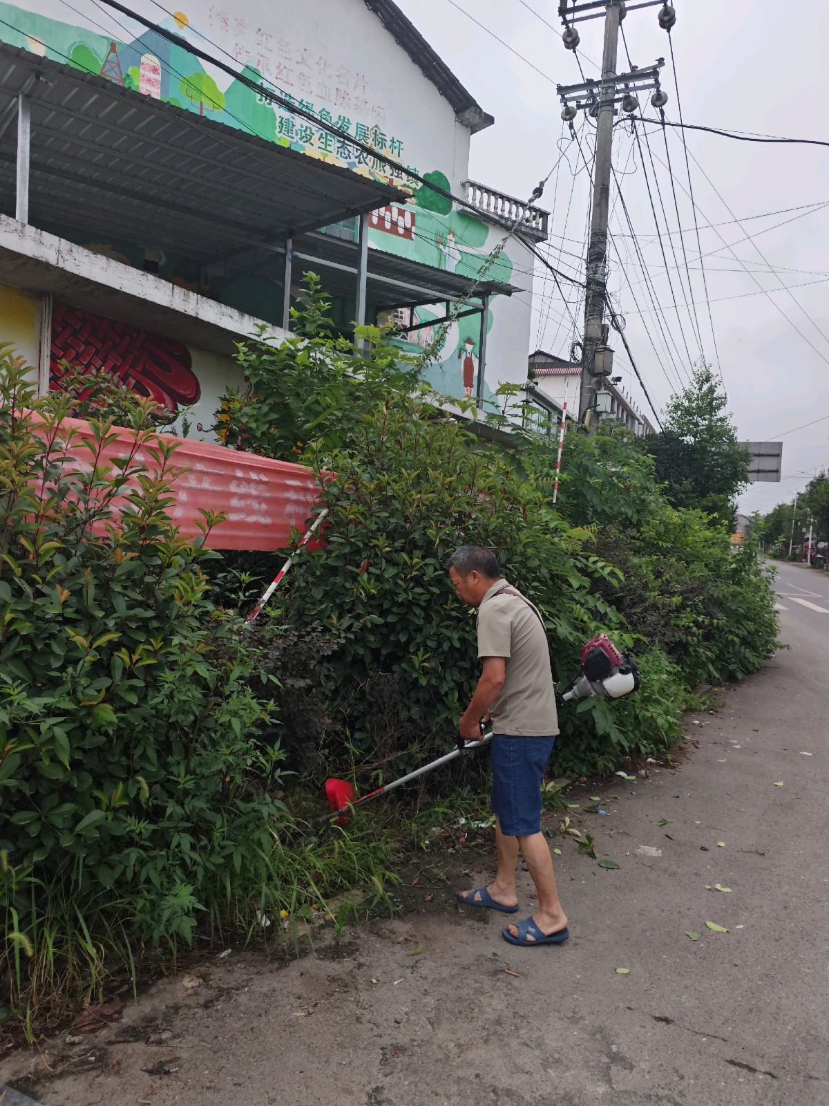 尧天坪镇：开展杂草清理整治行动