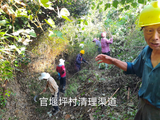双桥坪镇开展渠道清理工作 疏通农业灌溉“动脉”