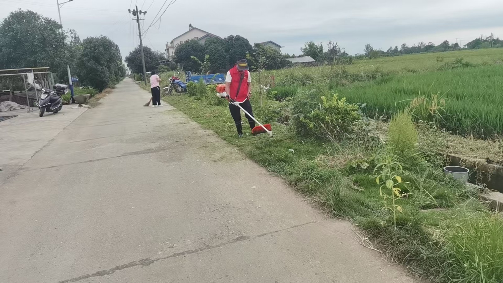 韩公渡镇：清理杂草除隐患 美化环境便交通