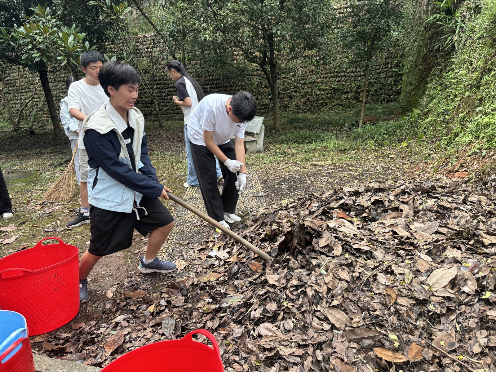 逆江坪中学：枯枝“大作战” 不烧一把火护出绿意成长